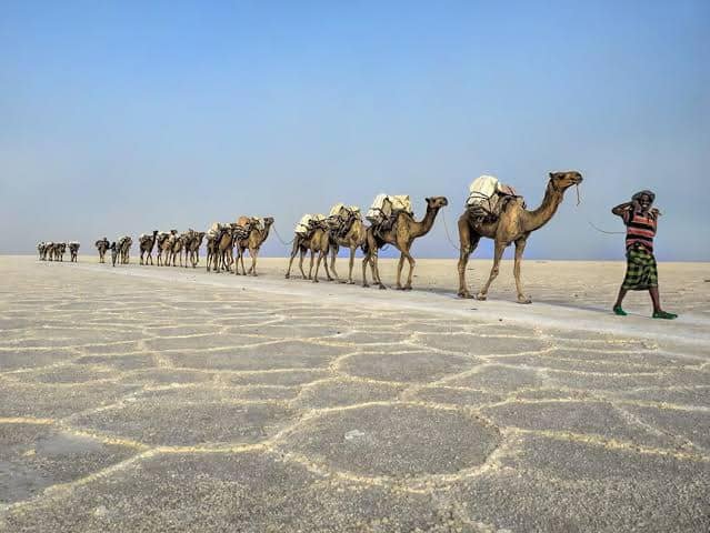 Things to do in Djibouti